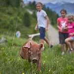 Balbach Alm